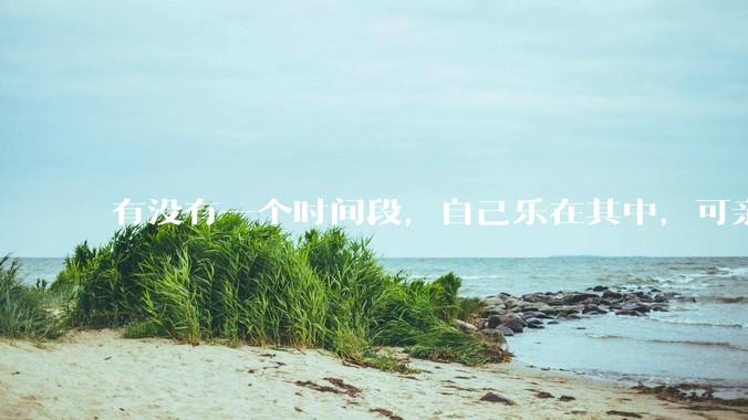 有没有一个时间段，自己乐在其中，可亲人或者朋友却觉得你很辛苦，很心疼你?