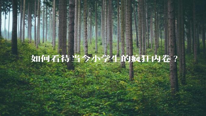 如何看待当今小学生的疯狂内卷?