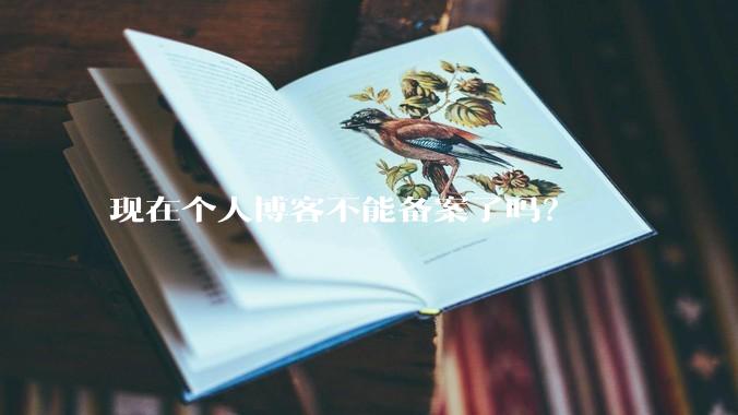 现在个人博客不能备案了吗？