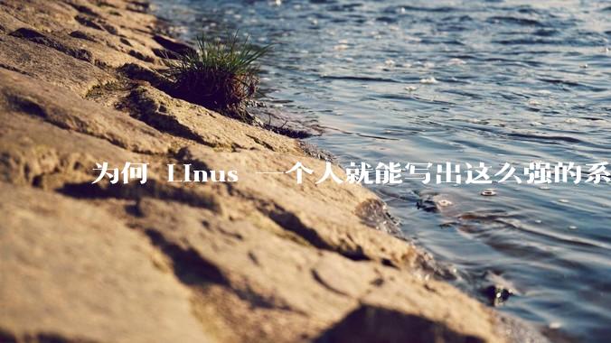 为何 Linus 一个人就能写出这么强的系统，中国却做不出来？