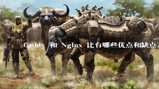 Caddy 和 Nginx 比有哪些优点和缺点？